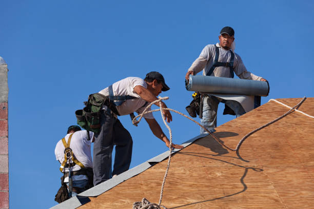 Best Residential Roof Replacement  in Bogota, NJ