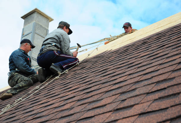 Best Storm Damage Roof Repair  in Bogota, NJ