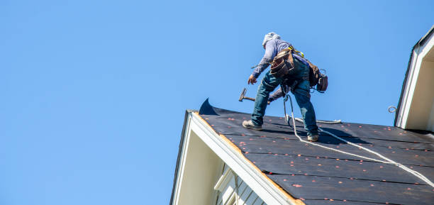 Best Gutter Installation and Roofing  in Bogota, NJ